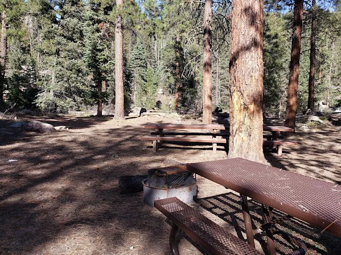 Transfer Park Campground Picture 8