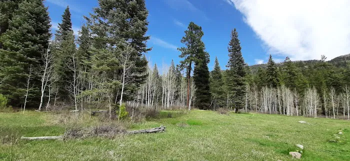 Transfer Park Campground Picture 7
