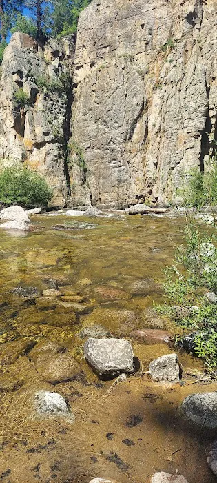 Transfer Park Campground Picture 5