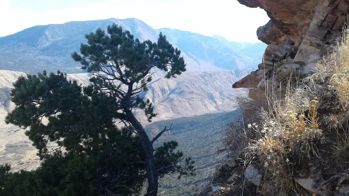 Porcupine Rim Campground Picture 8