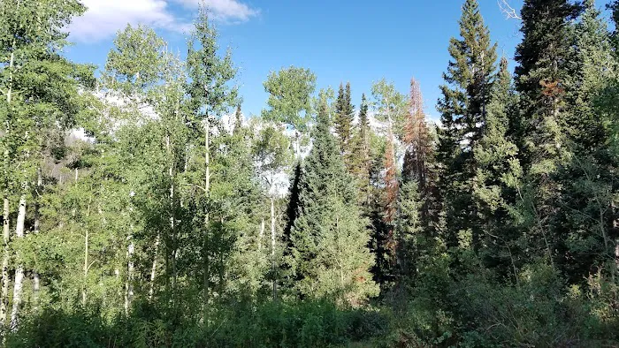 Oowah Campground Picture 1