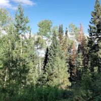 Oowah Campground ico