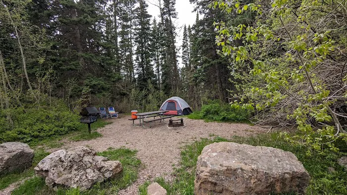Oowah Campground Picture 5