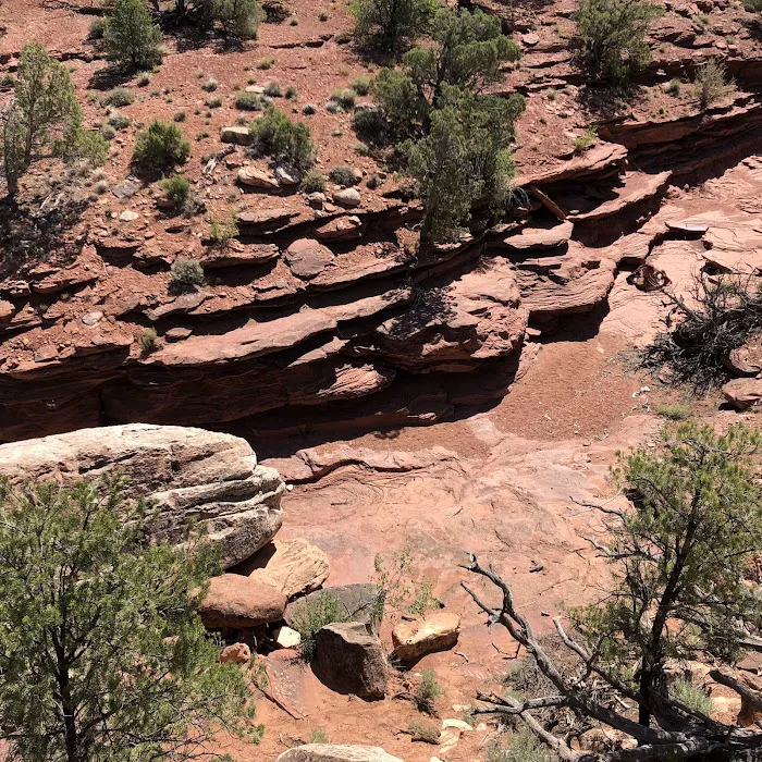 Hal Canyon Campground Picture 4