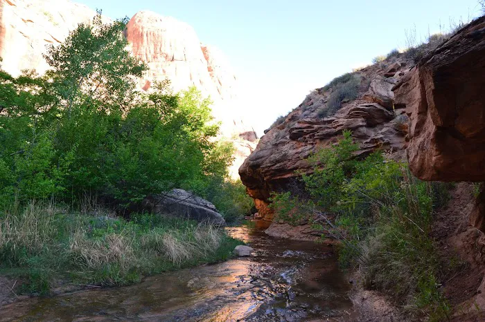 Upper Big Bend Camping Area Picture 6