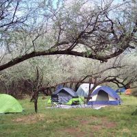 Pack Creek Mobile Home Park ico