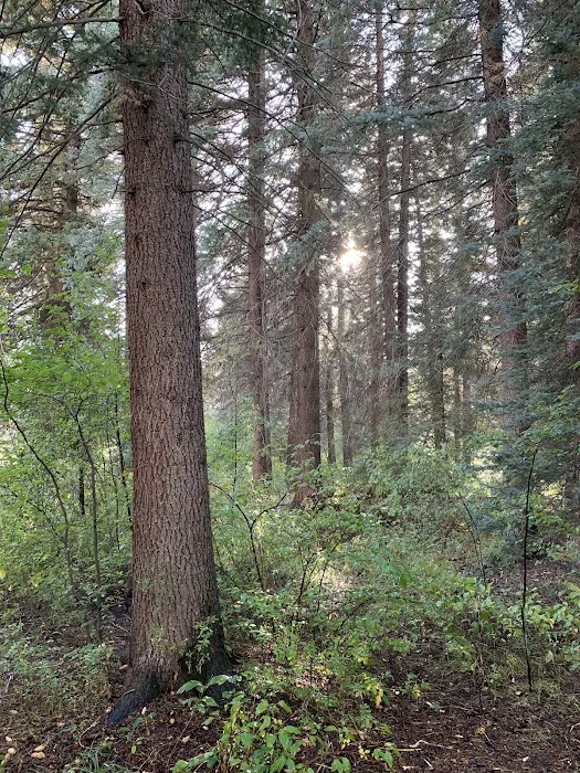 Mavreeso Campground Picture 4