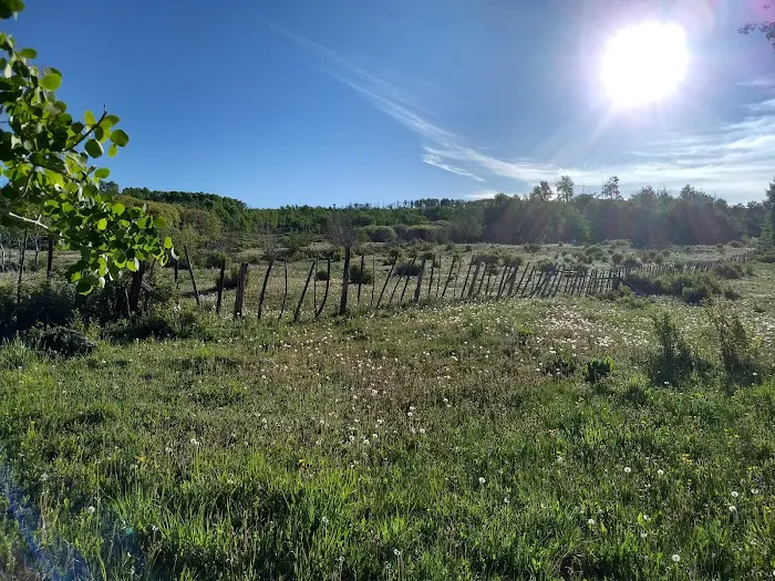 Transfer Campground Picture 8