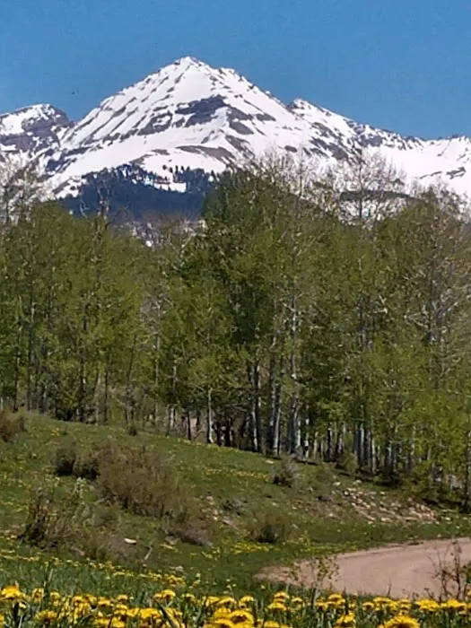 Transfer Campground Picture 2
