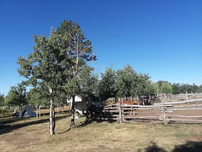 Transfer Campground Picture 5