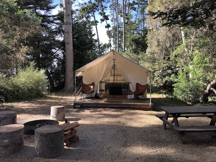 Mendocino Grove Picture 3