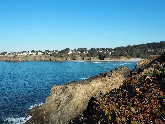 Mendocino Grove Picture 2