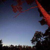 Van Damme State Park Campground ico