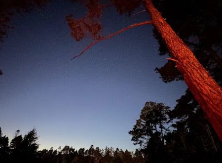Van Damme State Park Campground