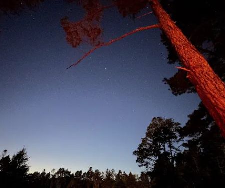 Van Damme State Park Campground