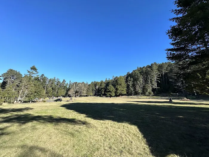 Van Damme State Park Campground Picture 6