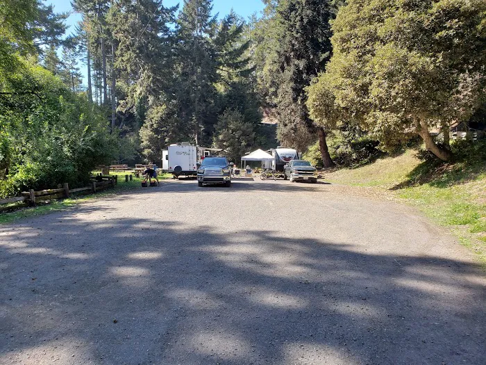Van Damme State Park Campground Picture 9