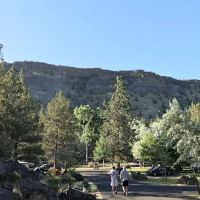Group Camp ico