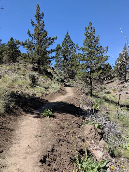 Deschutes River Campground, A, B & C Loops Picture 2