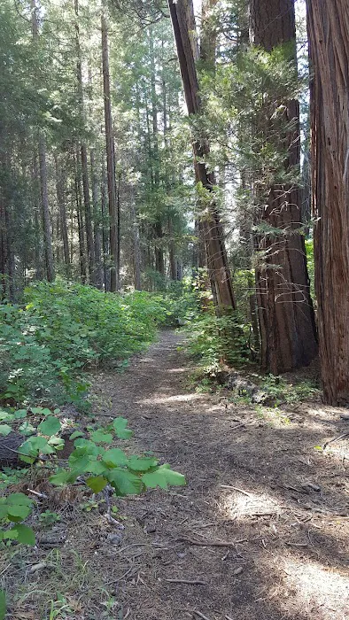 Monty Campground Picture 8