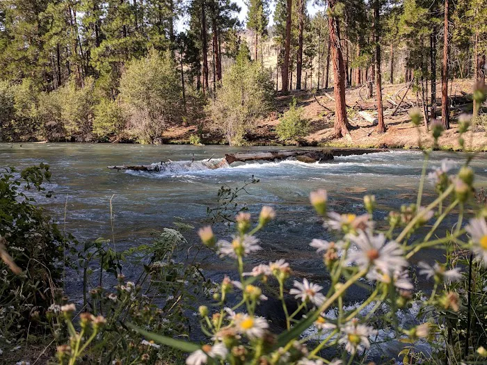 Monty Campground Picture 9