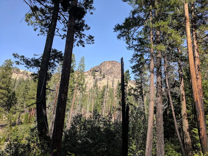 Monty Campground Picture 10