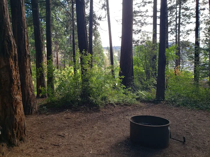 Perry South Campground Picture 9