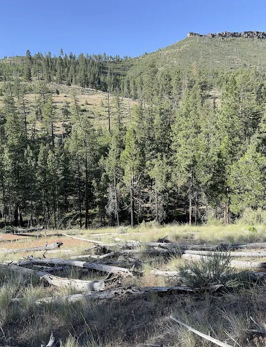 Perry South Campground Picture 7