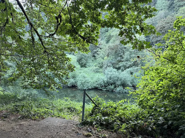 Blackberry Campground Picture 6