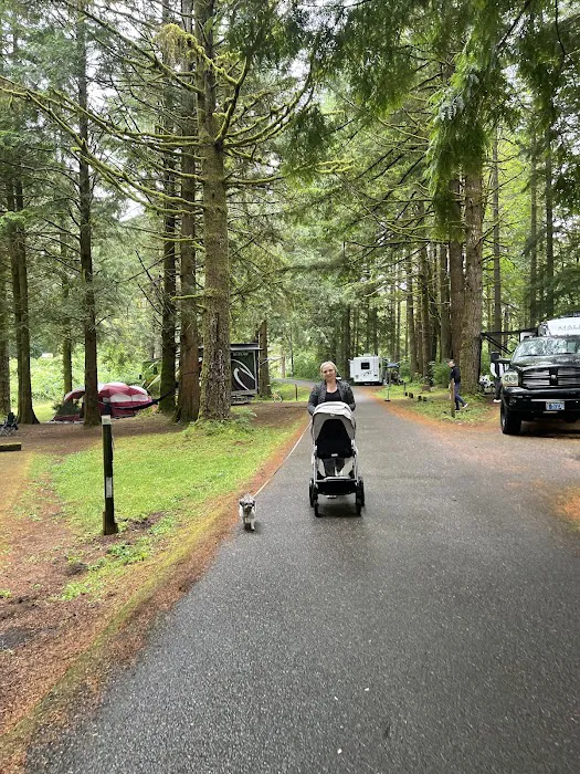 Blackberry Campground Picture 3