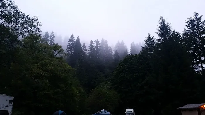 Blackberry Campground Picture 10