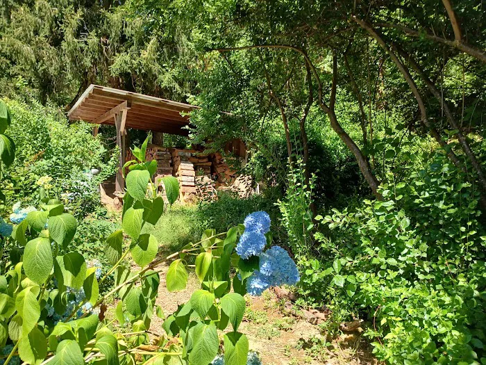 Tadpole Manor in Deadwood Camp Picture 10