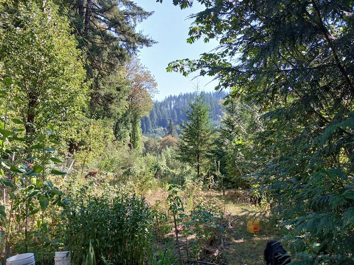 Tadpole Manor in Deadwood Camp Picture 5