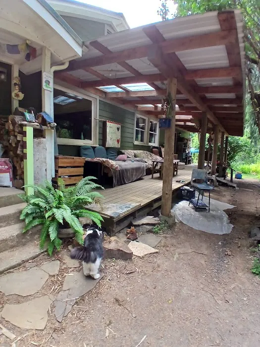Tadpole Manor in Deadwood Camp Picture 7