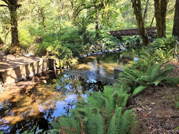 Whittaker Creek Recreation Site Picture 3