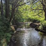 Whittaker Creek Recreation Site