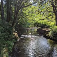 Whittaker Creek Recreation Site ico