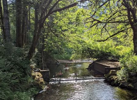 Whittaker Creek Recreation Site