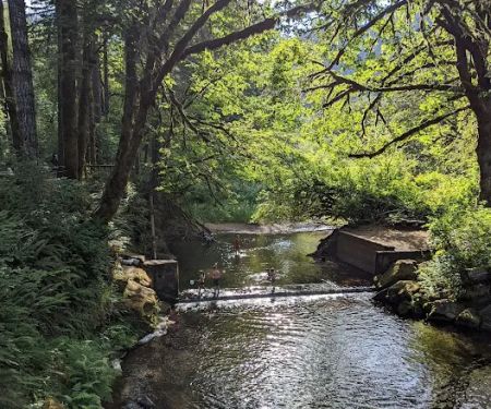 Whittaker Creek Recreation Site
