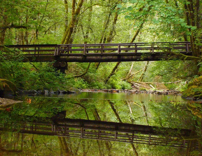 Whittaker Creek Recreation Site Picture 7