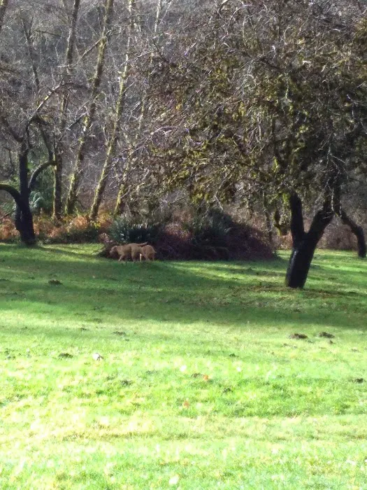 Canal Creek Campground Picture 6