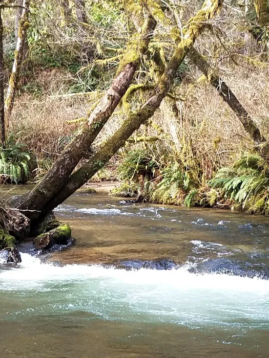 Canal Creek Campground Picture 10