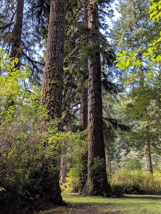 Canal Creek Campground Picture 3