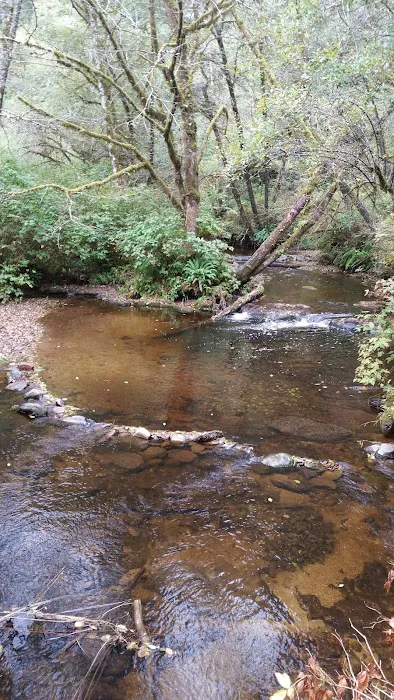 Canal Creek Campground Picture 9