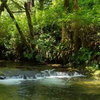 Canal Creek Campground ico