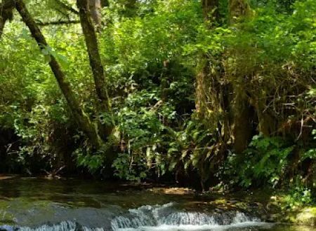 Canal Creek Campground