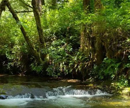 Canal Creek Campground