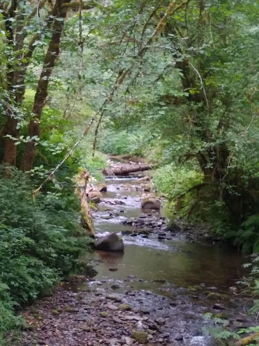 Canal Creek Campground Picture 4