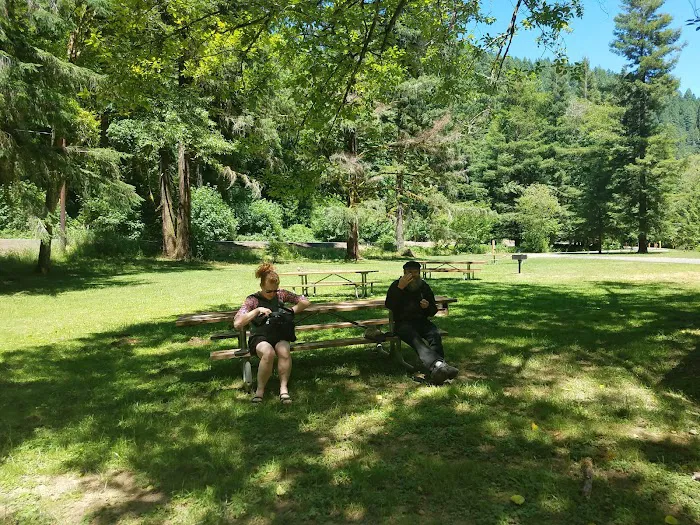 Archie Knowles Campground Picture 10