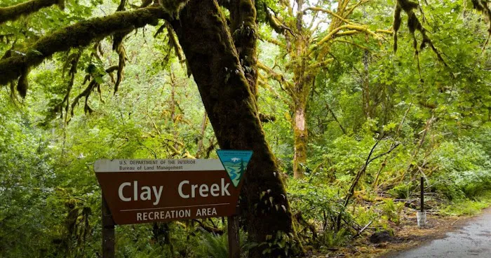 Clay Creek Recreation Site Picture 9